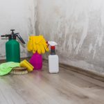 Sprzątanie piwnicy — od czego zacząć, jak zaprowadzić porządek