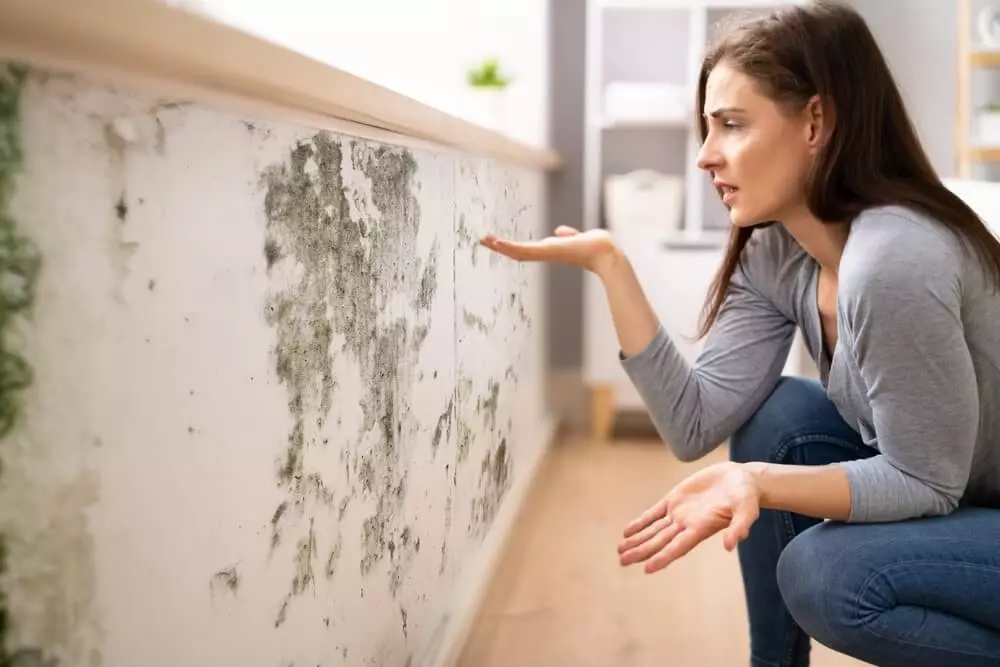 Jak pozbyć się grzyba ze ściany — najlepsze sposoby